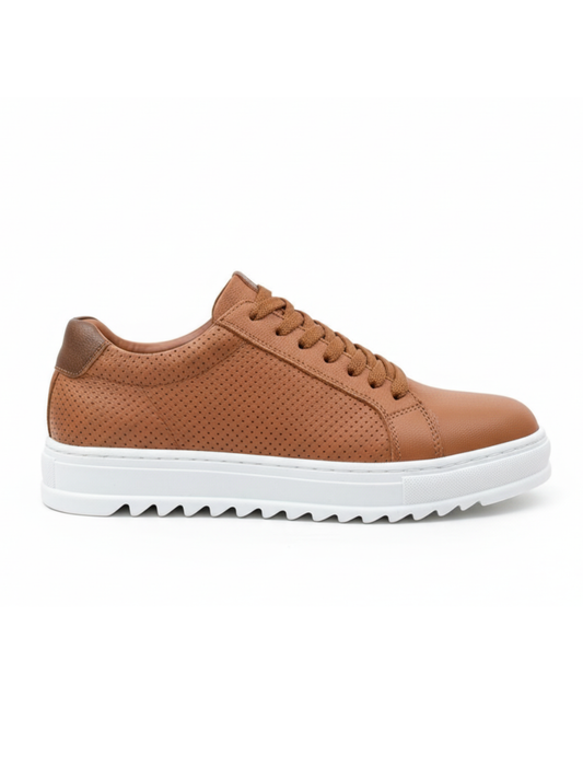 Men's Arion Terra